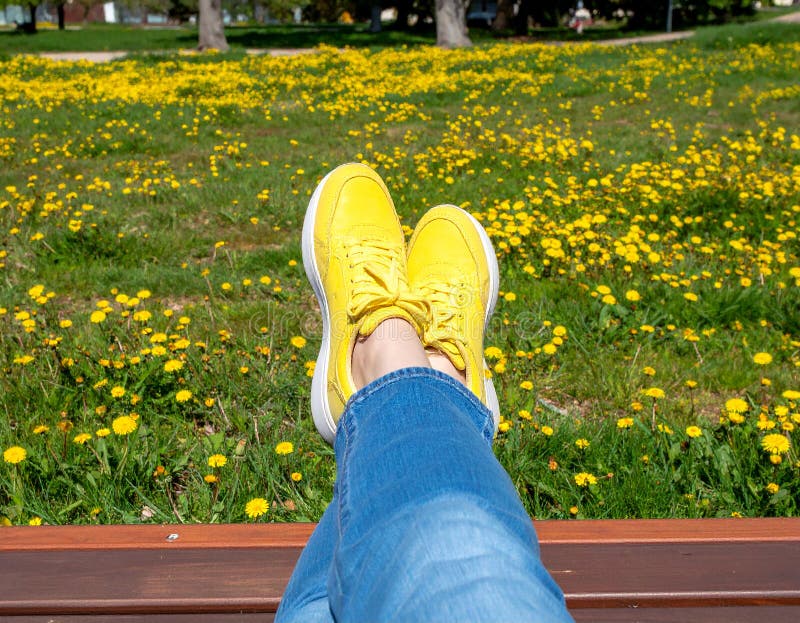 Une femme se reposant avec ses jambes soutenue sur un banc au milieu d'un champ de jaune illustration stock