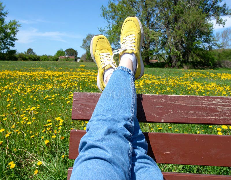 Une femme se reposant avec ses jambes soutenue sur un banc au milieu d'un champ de jaune illustration de vecteur
