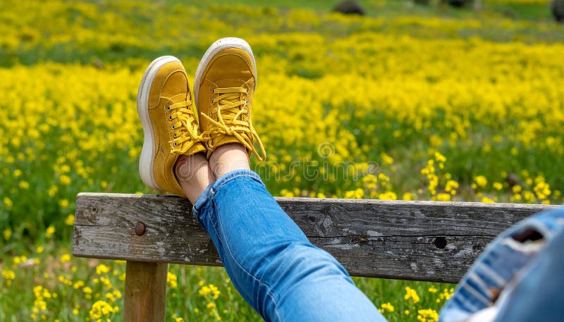 Une femme se reposant avec ses jambes soutenue sur un banc au milieu d'un champ de jaune illustration stock