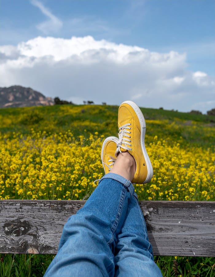 Une femme se reposant avec ses jambes soutenue sur un banc au milieu d'un champ de jaune illustration stock
