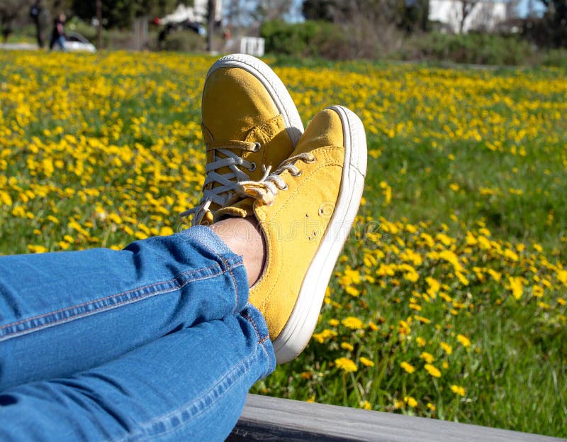 Une femme se reposant avec ses jambes soutenue sur un banc au milieu d'un champ de jaune illustration libre de droits