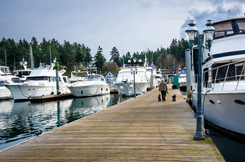 A senior woman walks her two dogs between several boats moored at the dock of the marina at Roche Harbor on San Juan Island. A senior woman walks her two dogs between several boats moored at the dock of the marina at Roche Harbor on San Juan Island.