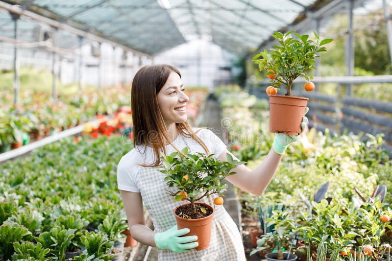 Une Femme Tient Une Casserole De Fleurs Dans Les Mains En