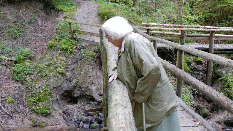 Une femme âgée active marche sur un pont de bois dans une forêt banque de vidéos