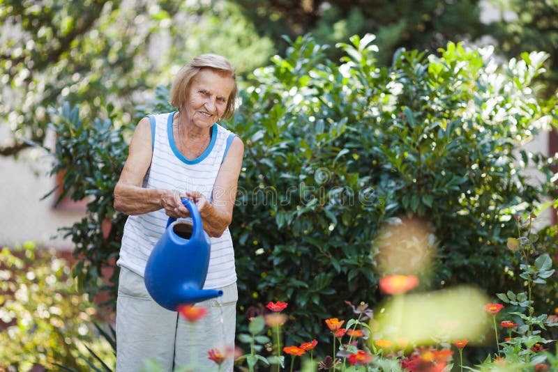 Une femme âgée arrose ses plantes dans son jardin photo libre de droits Une femme âgée arrose ses plantes dans son jardin photo libre de droits