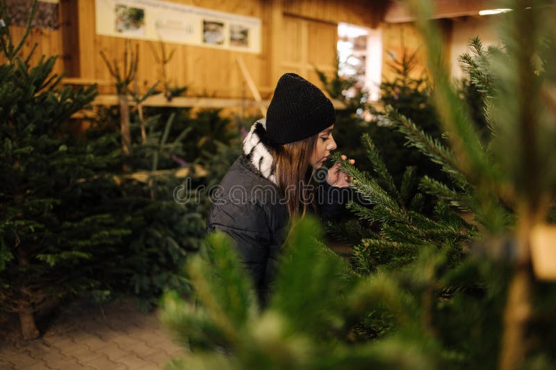 Une femme élégante achète un arbre de noël. femme dans un pull tricoté noir. belle dame choisir sapin photographie stock libre de droits