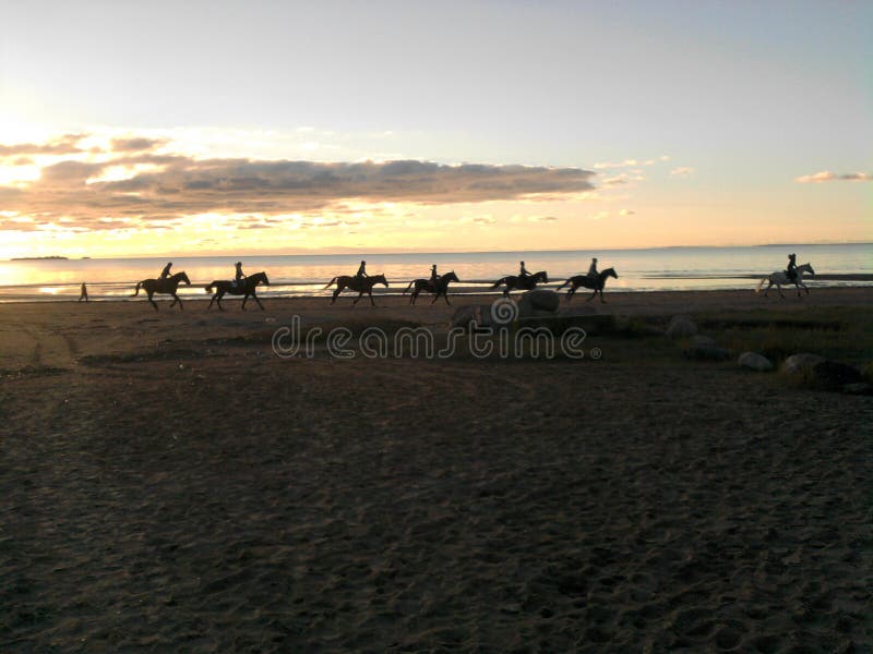 Une ficelle des cavaliers sur une plage de coucher du soleil photos libres de droits Une ficelle des cavaliers sur une plage de coucher du soleil photos libres de droits