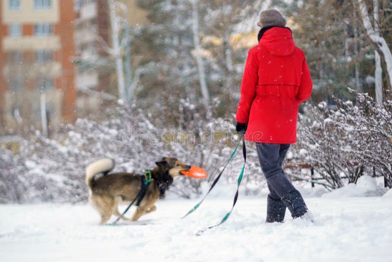 la fille tourne la tête vers la caméra. brunette souriante s'amusant en  marchant avec son chien dans le parc d'hiver 7769411 Photo de stock chez  Vecteezy