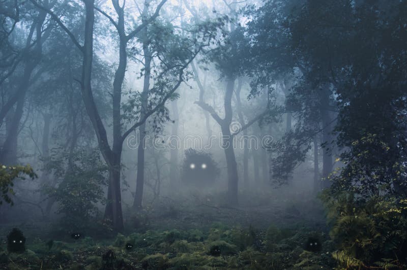 BLINKY dans la FORÊT sur