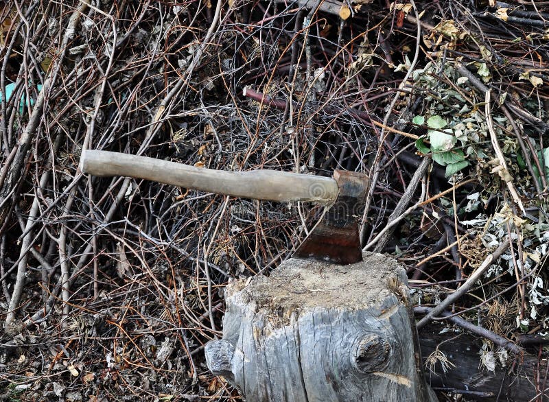 An axe in a stump against the background of dry branches. abstract accessory ax axe, background battle, blade, brown, chop, closeup, cut dry environment equipment forest grass green ground hack handle hatchet iron landscape, leaf lumberjack metal natural nature object old, outdoor, pattern plant rusty, season, spring steel, stump summer texture tool tree war weapon white wildlife wood wooden work. An axe in a stump against the background of dry branches. abstract accessory ax axe, background battle, blade, brown, chop, closeup, cut dry environment equipment forest grass green ground hack handle hatchet iron landscape, leaf lumberjack metal natural nature object old, outdoor, pattern plant rusty, season, spring steel, stump summer texture tool tree war weapon white wildlife wood wooden work