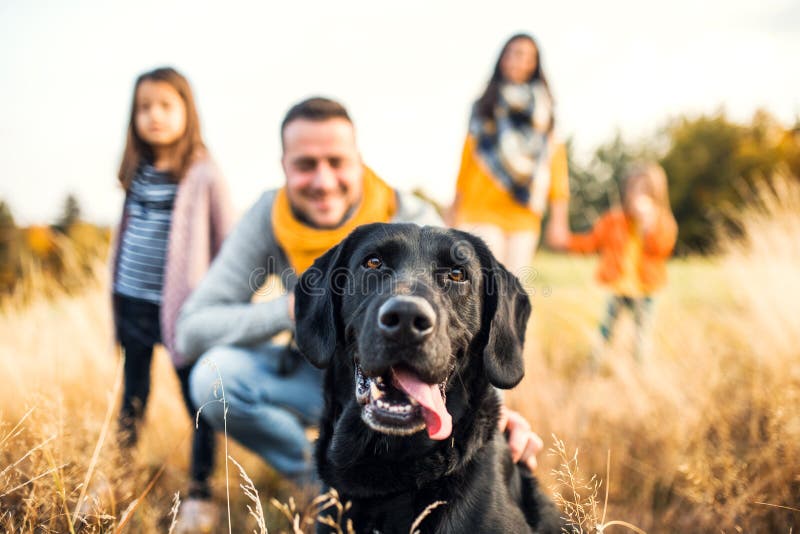 Une jeune famille avec deux petits enfants et un chien sur un pré en nature d'automne photographie stock