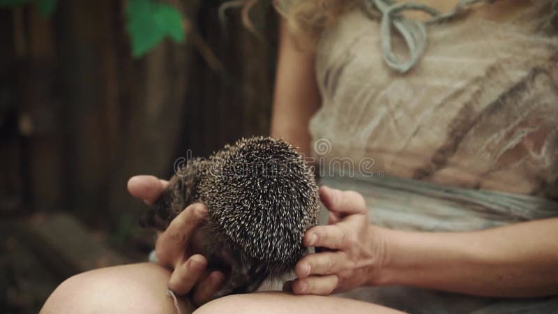 Une jeune femme tient dans ses mains des hérisses un animal dangereux clips vidéos