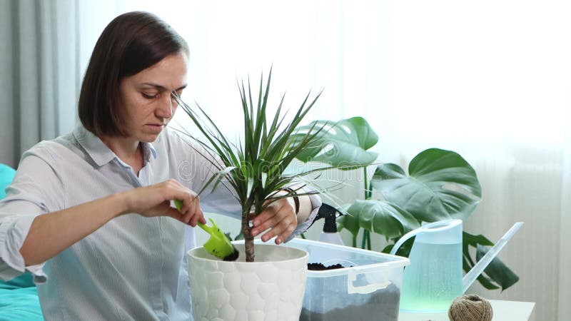 Une jeune femme transplante des fleurs domestiques dans un nouveau pot à la maison