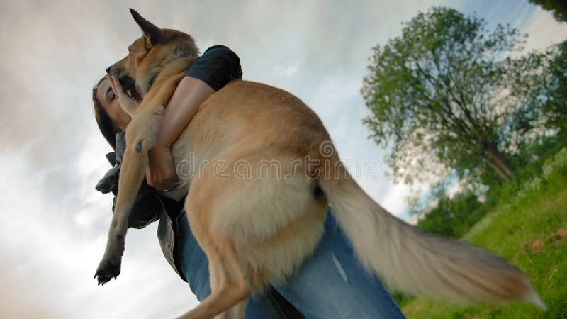 Une jeune fille emmène son chien dans ses bras d'une manière amusante et drôle avec amour