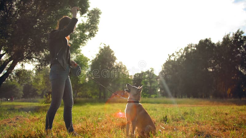 Une jeune fille qui fait des tours avec son chien dans le parc