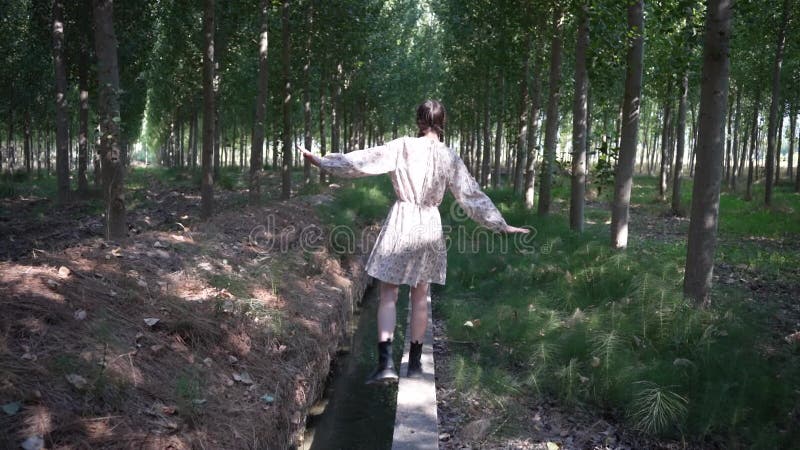 Une jeune fille se baladant gracieusement sur un chemin étroit qui est magnifiquement entouré de grands arbres clips vidéos