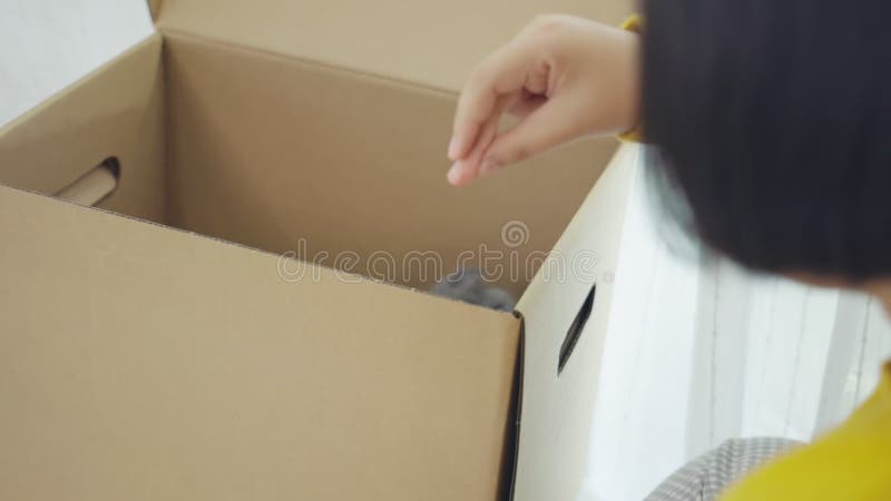 Une jolie fille asiatique jouant Ã  cache-cache et cherchant avec une race chatte Scottish Fold dans la boÃ®te Ã  papier