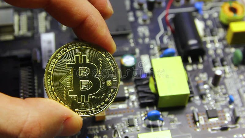 Une main d'homme tient un bitcoin sur l'arrière-plan d'une carte de microcircuit