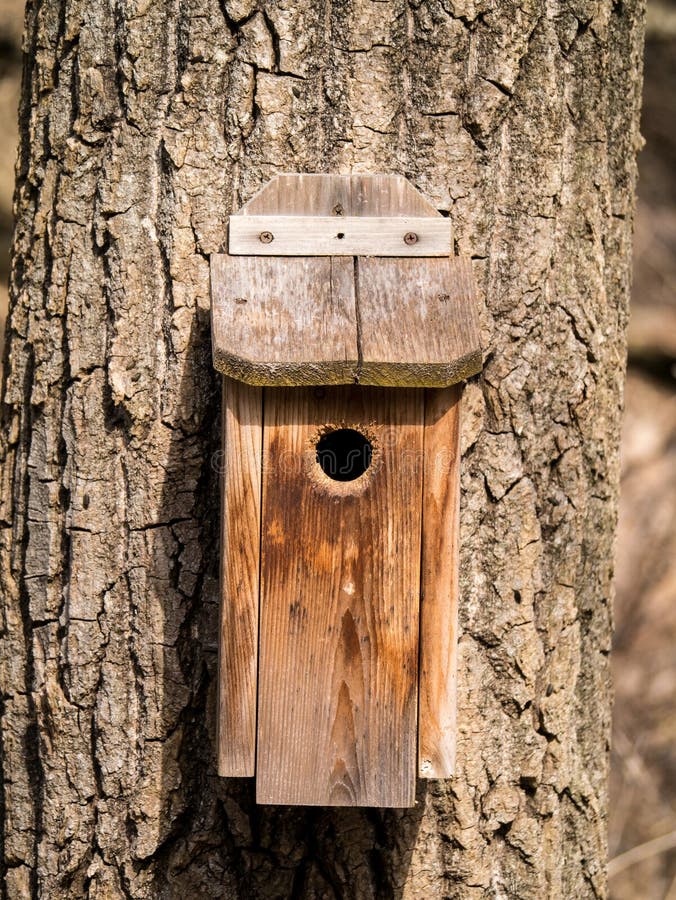 Maison De Starling Pour Les Oiseaux Sur L'arbre Dans Le Parc De L'été. Oiseaux  Décoratifs En Bois Petite Maison À L'extérieur Banque D'Images et Photos  Libres De Droits. Image 60418206