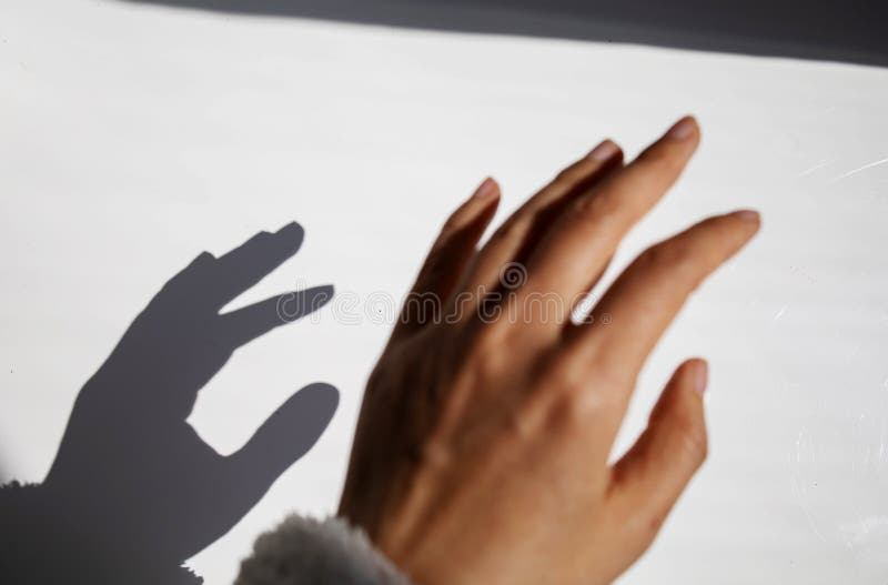Une ombre floue d'une main sur un mur blanc l'ombre d'une main de femme de la lumière du soleil