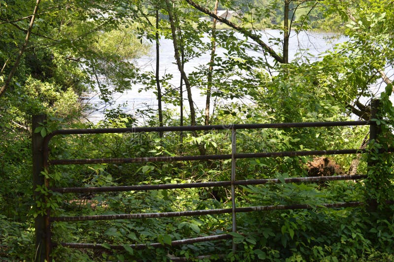 Une partie de vieux Rusty Fence dans les bois le long du bord d'une crique photographie stock Une partie de vieux Rusty Fence dans les bois le long du bord d'une crique photographie stock