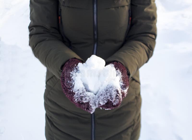 Une personne tient une boule de neige en hiver en parc, promenade, amusement, sports et loisirs, veste verte, mitaines de Bourgog photos stock Une personne tient une boule de neige en hiver en parc, promenade, amusement, sports et loisirs, veste verte, mitaines de Bourgog photos stock