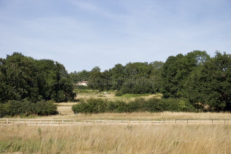 Une petite maison dans une prairie image libre de droits Une petite maison dans une prairie image libre de droits