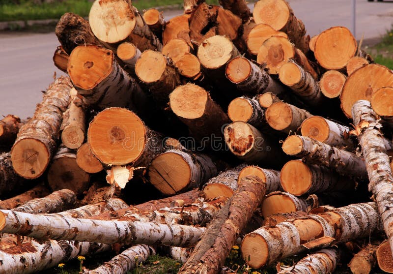 Une pile énorme de différents rondins photos stock Une pile énorme de différents rondins photos stock