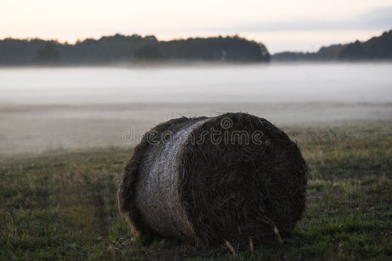 Une poubelle de grain sur le champ pendant le brouillard image stock Une poubelle de grain sur le champ pendant le brouillard image stock