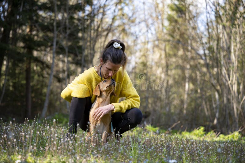 Une propriétaire de chien s'agenouillant pour se mettre en câlins avec son chiot golden labrador retriever images stock