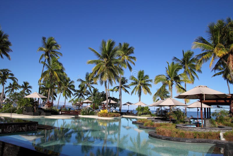 Une ressource de luxe de fijian avec des arbres de noix de coco