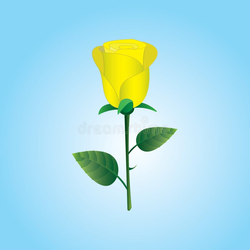 Une rose jaune avec la feuille pour l'amour