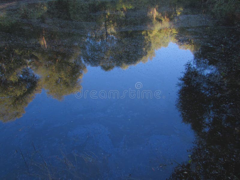 Une réflexion vive du ciel bleu d'espace libre d'été dans l'eau foncée sale d'un lac de forêt images stock Une réflexion vive du ciel bleu d'espace libre d'été dans l'eau foncée sale d'un lac de forêt images stock