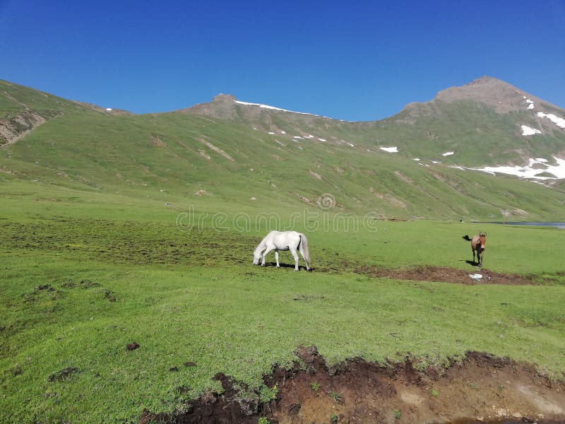 Une vallée chez Naran image libre de droits Une vallée chez Naran image libre de droits