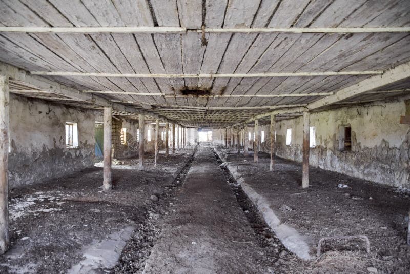 Une vieille ferme abandonnée pour des vaches Style abandonné photos stock Une vieille ferme abandonnée pour des vaches Style abandonné photos stock