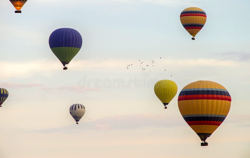 Une volée des oiseaux volant dans le ciel parmi les ballons à air chauds colorés photos libres de droits Une volée des oiseaux volant dans le ciel parmi les ballons à air chauds colorés photos libres de droits