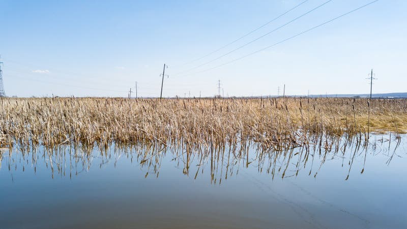 Une vue du milieu du lac sur l'eau en laquelle le ressort a séché les roseaux jaunes sont reflétées sous un ciel bleu clair sans photographie stock libre de droits Une vue du milieu du lac sur l'eau en laquelle le ressort a séché les roseaux jaunes sont reflétées sous un ciel bleu clair sans photographie stock libre de droits