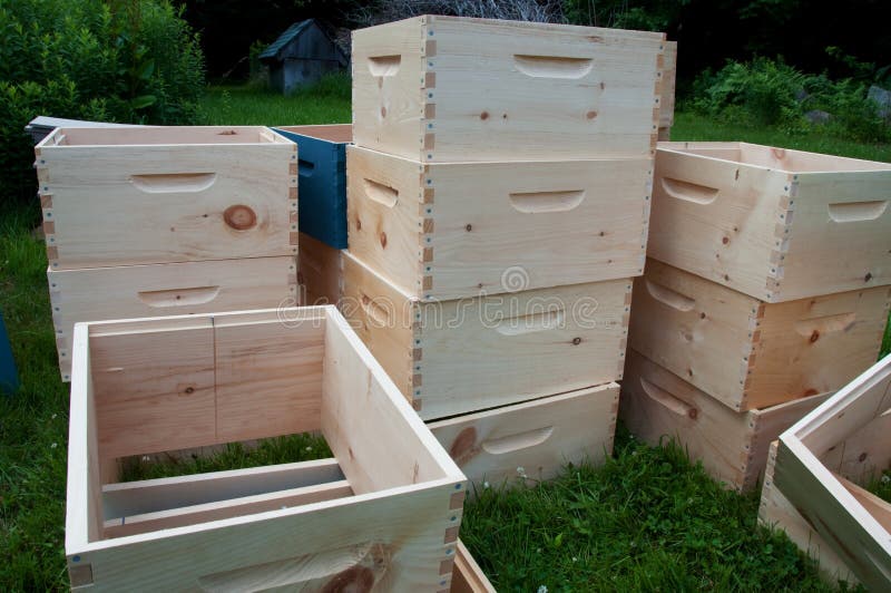 Unfinished Bee Colony Super Boxes