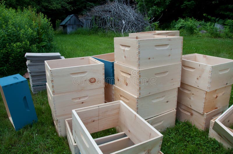 Unfinished Bee Colony Super Boxes