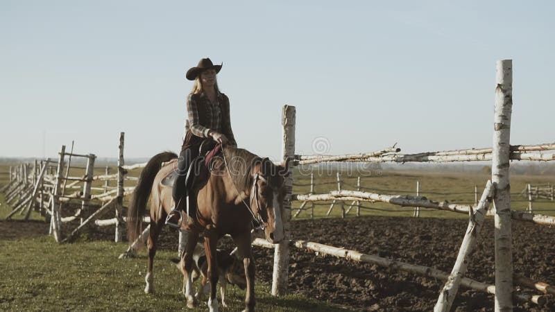 Ung cowgirl på den bruna hästen Härlig kvinnaridninghäst med hunden längs staketet
