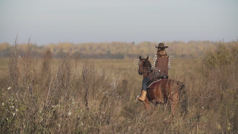 Ung cowgirl på den bruna hästen Härlig kvinnaridninghäst på soluppgång i fält