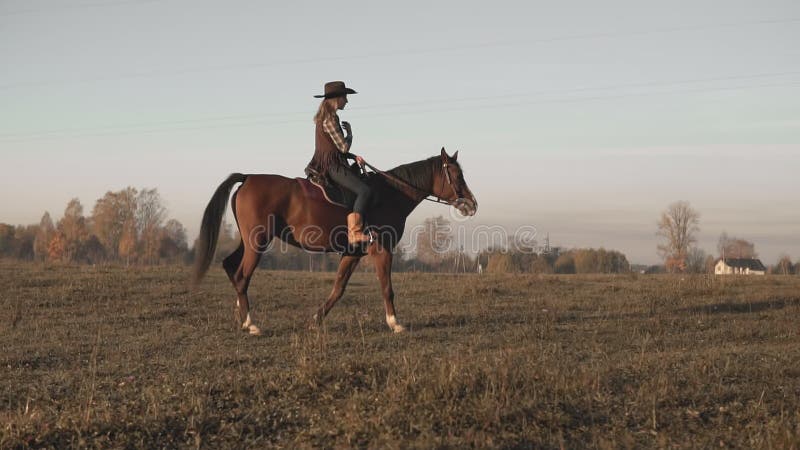 Ung cowgirl på den bruna hästen i långsam-mo utomhus härlig hästridningkvinna