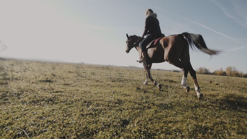 Ung cowgirl på den bruna hästen i ultrarapid utomhus Ridninghäst för ung kvinna
