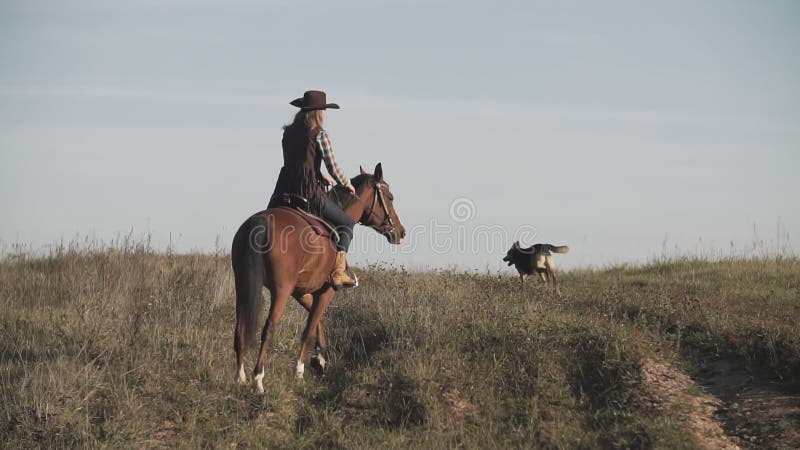 Ung cowgirl på den bruna hästen med springhunden i ultrarapid utomhus