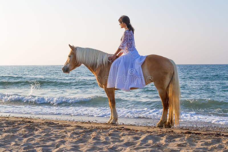 Ung flicka med en häst på stranden arkivbilder Ung flicka med en häst på stranden arkivbilder