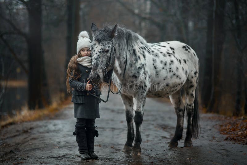Ung flickastående med Appaloosahästen och Dalmatianhundkapplöpning royaltyfria foton Ung flickastående med Appaloosahästen och Dalmatianhundkapplöpning royaltyfria foton