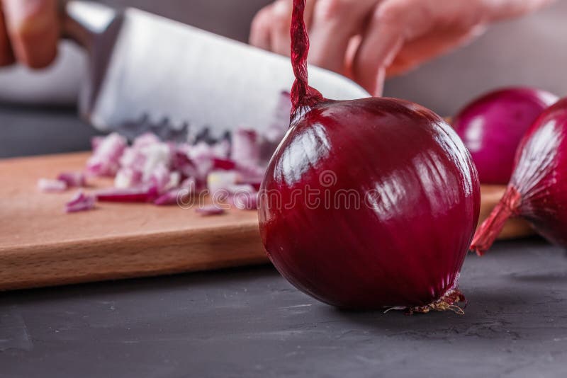 Ung kvinna i en grå aprons skär ner den röda löken arkivbild