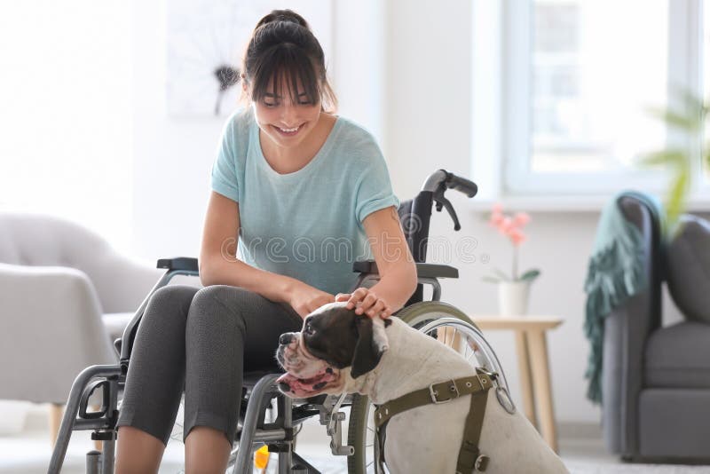 Ung kvinna i rullstol med servicehunden hemma arkivfoto Ung kvinna i rullstol med servicehunden hemma arkivfoto