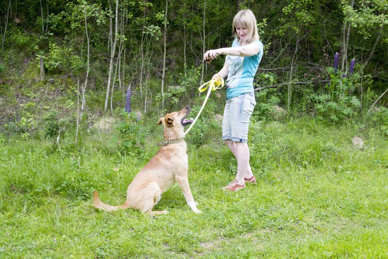 Ung kvinna som ger kommandon till hennes hund, medan gå på stranden royaltyfria foton Ung kvinna som ger kommandon till hennes hund, medan gå på stranden royaltyfria foton