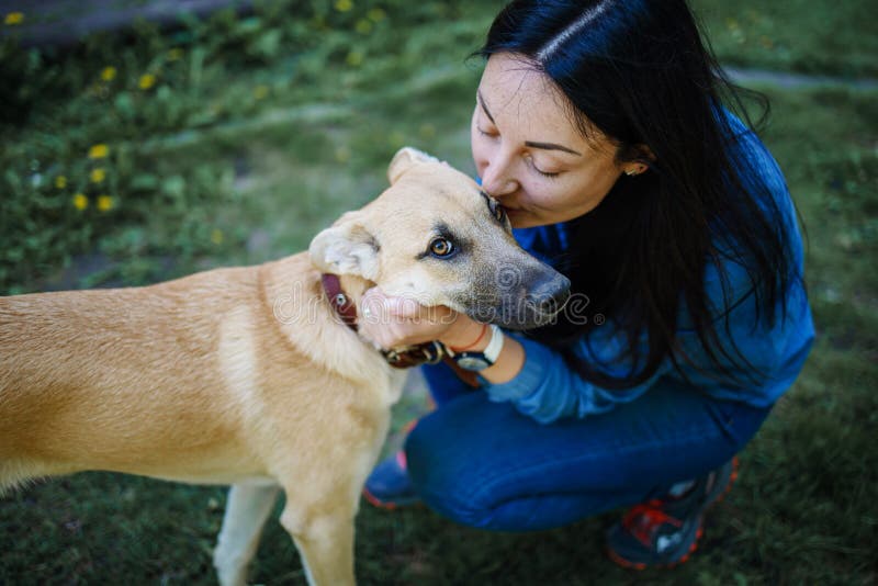 Ung kvinna som jagar trist hund i djurskydd royaltyfri foto